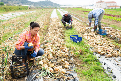 Asian female farmer with box of ripe onion on the farmer plantation