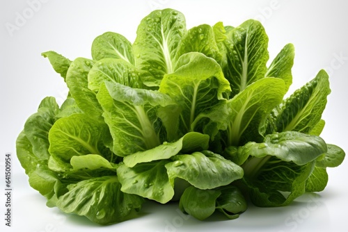 Large lettuce isolated on a white background