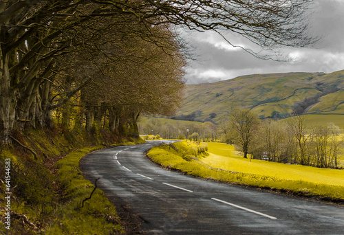 road in autumn