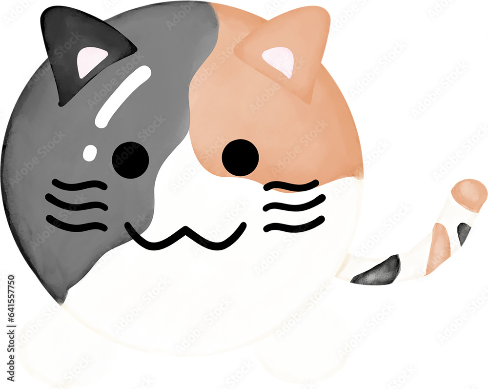 Obraz premium Cute cat