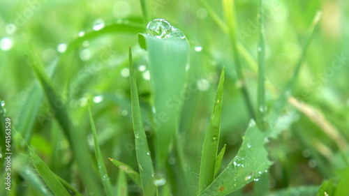 물방울 water drop
