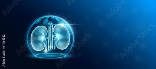 Kidney human organ inside transparent dome shield protection futuristic with medical icon. Technology innovation health care. Empty space for text. Medical science ads website banner. Vector.