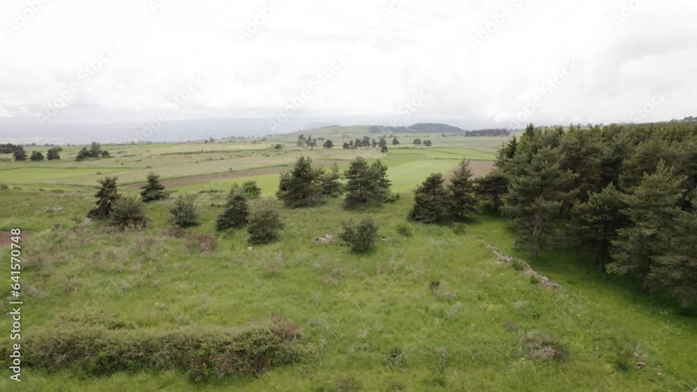 Fresh Green Fields With Grazing Cows In Lozere Conservation Agricultural Farmland. Aerial Drone Shot Fresh Green Fields With Grazing Cows In Lozere Conservation Agricultural Farmland. Aerial Drone Shot