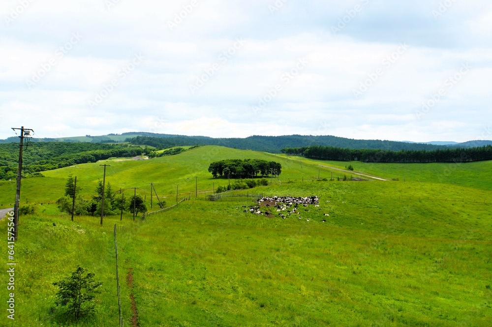Landscape of 900 Meadow