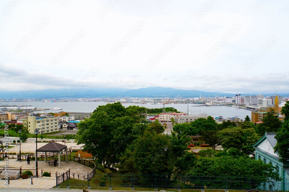 View from Old Hakodate Public Hall