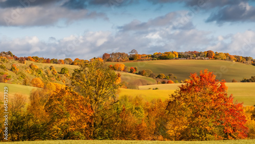 Rural Tranquility  Photograph the Serene Beauty of Autumn in a Rustic Countryside Landscape