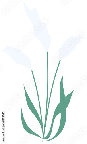 Reed plant Illustration, pond reed clipart, grass clipart 
