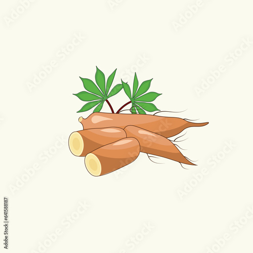 cassava illustration vector eps 10
