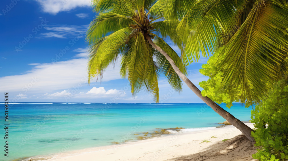 Green Palms on tropical beach