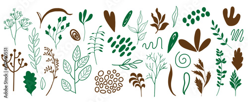 Organic shapes, plants, spots, lines, dots. Vector set of minimal trendy abstract hand drawn isolated elements for graphic design	