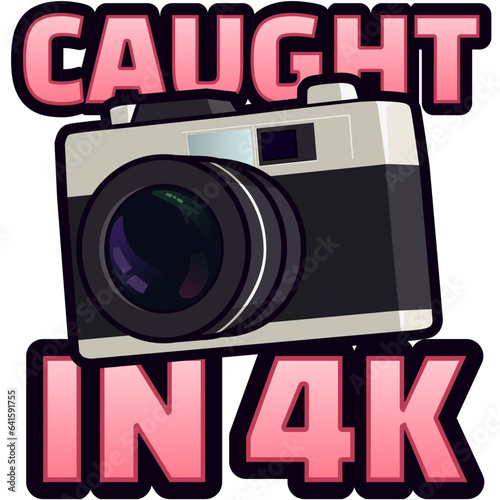 vintage camera emote