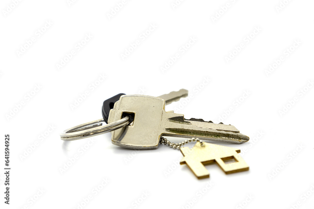 Real estate concept . Key ring and keys on white background . Copy space Real estate concept . Key ring and keys on white background . Copy space