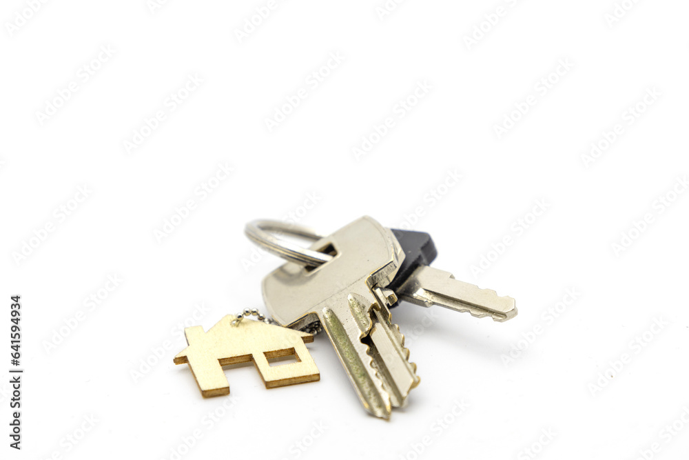 Real estate concept . Key ring and keys on white background . Copy space Real estate concept . Key ring and keys on white background . Copy space