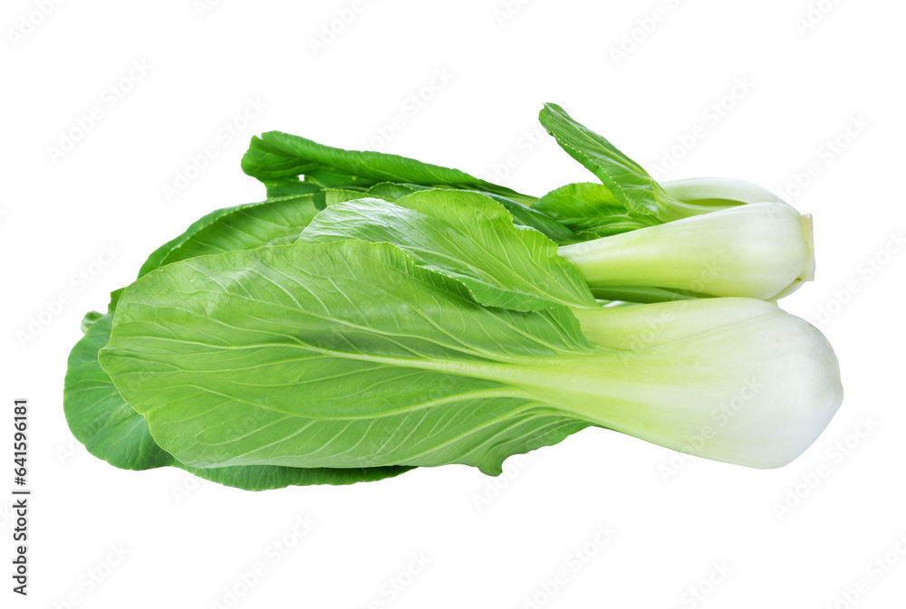 Bok choy (chinese cabbage) transparent png