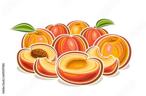 Vector logo for Peaches, decorative horizontal poster with cartoon design fruity peach still life composition, fruit print with whole and chopped triangle parts of raw juicy peaches with green leaves