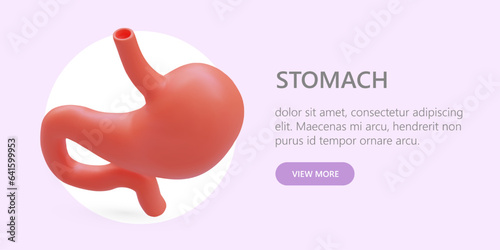 Concept with realistic stomach. Services of gastroenterologist. Treatment of digestive system. Advertising template for clinic, medical office, doctor. Color web banner