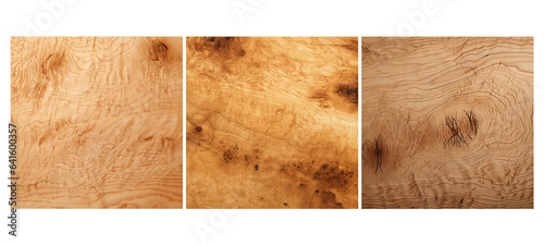 timber birds eye maple wood texture grain illustration tree brown, natural working, background lumber timber birds eye maple wood texture grain