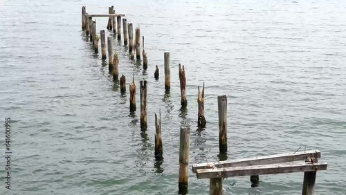 Wallpaper Mural 湖の釣りスポット　朽ちた桟橋 Torontodigital.ca