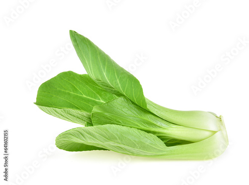 Bok choy vegetable isolated on the white background.