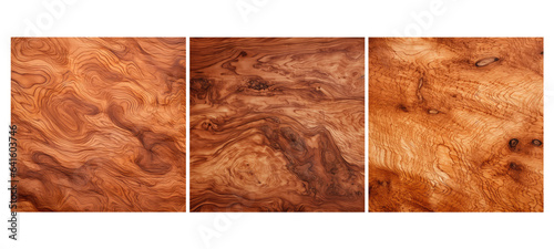 hard burl cedar wood texture grain illustration timber tree, brown natural, working background hard burl cedar wood texture grain