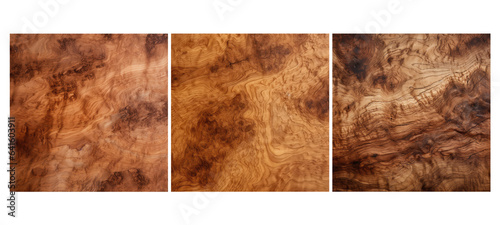 tree burl elm wood texture grain illustration brown natural, working background, lumber tree burl elm wood texture grain