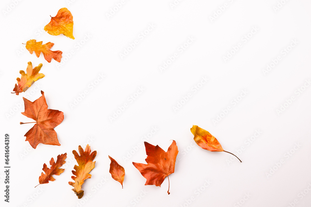 Fototapeta premium Autumn leaves with copy space on white background