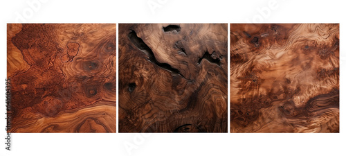 hard burl walnut wood texture grain illustration timber tree, brown natural, working background hard burl walnut wood texture grain photo
