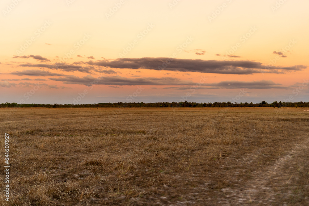 Grass field with evening sky