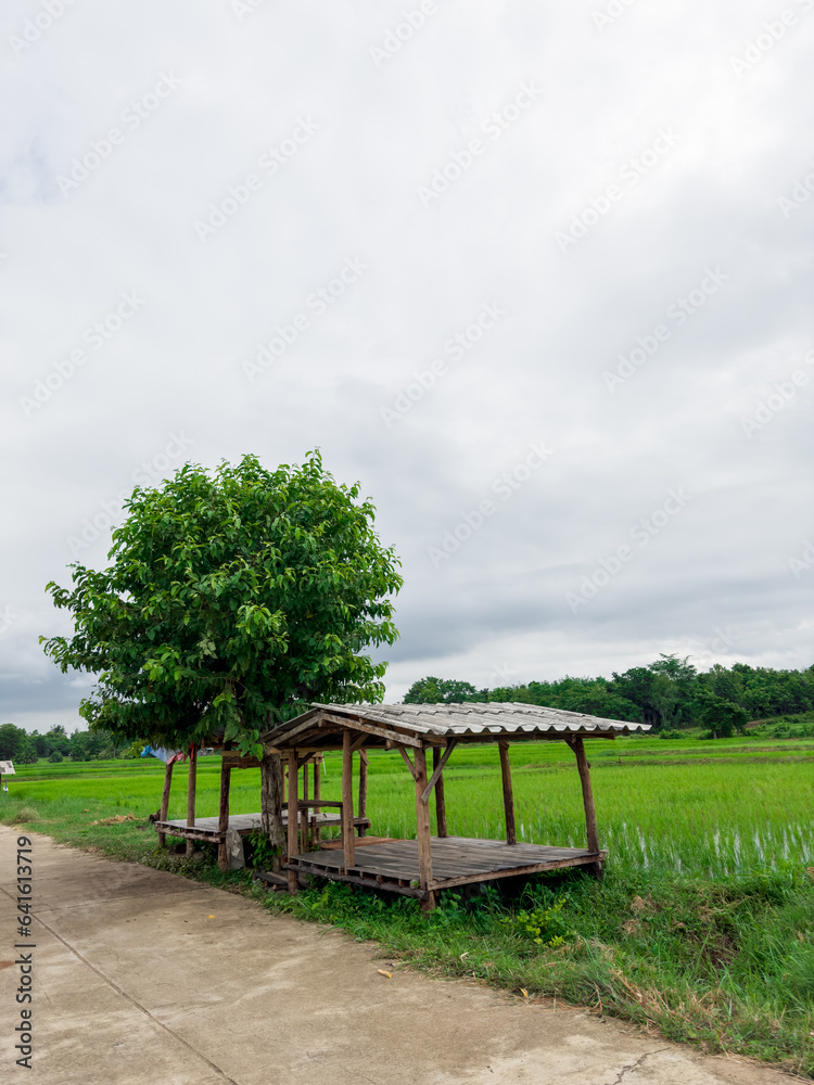Obraz premium cottage with tree in cloudy day