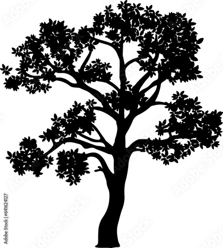 silhouette of a tree isolated. Isolated Dead tree on the white background. Dead tree silhouettes.