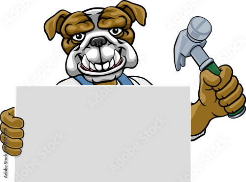 A bulldog handyman or carpenter cartoon construction man mascot character holding a hammer tool