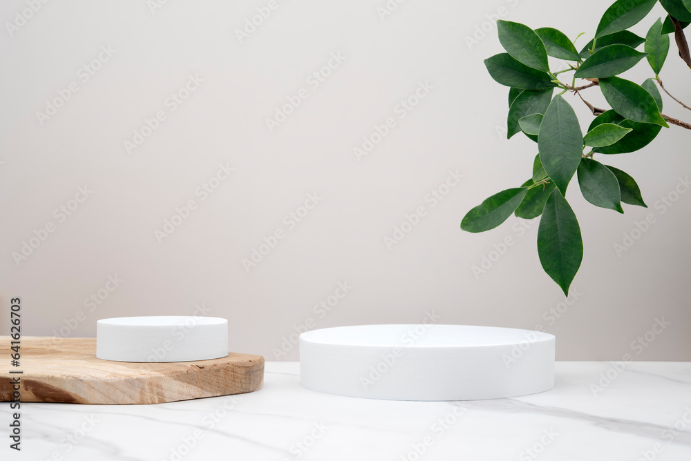 Mockup background with circular podium for product presentation. Wooden and white marble surface. Photo studio, minimal and modern. Green plant and leaves on the side of the image