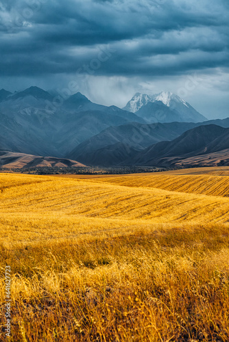 landscape in the mountains