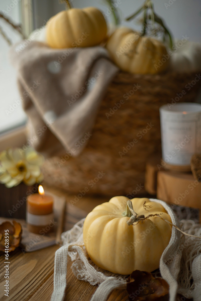 Cozy still life with pumpkin, candle and small pumpkins