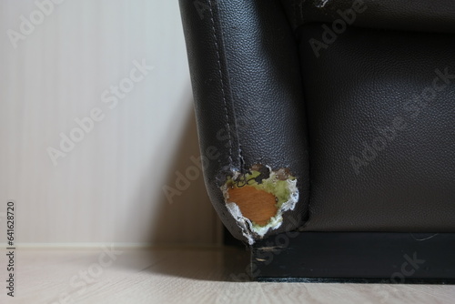 Corner of sofa damaged by dog bite photo