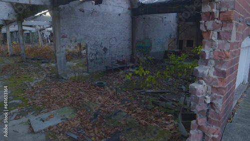 Wallpaper Mural small trees growing inside a dilapidated industrial building in Northeast Ohio Torontodigital.ca