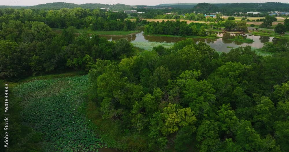 Aerial View Of Wetland Pond Surrounded With Lush Vegetation In Cook's Landing Park, Little Rock, Arkansas, USA - drone shot Aerial View Of Wetland Pond Surrounded With Lush Vegetation In Cook's Landing Park, Little Rock, Arkansas, USA - drone shot