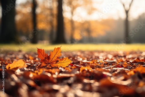 Autumn leaves covering the ground  Blurred Image for Text Overlay - Fall s Blanket - AI Generated