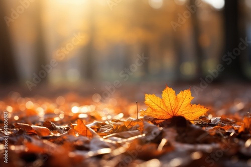 Autumn leaves covering the ground, Blurred Image for Text Overlay - Fall's Blanket - AI Generated