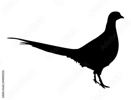 Pheasant bird silhouette vector art white background
