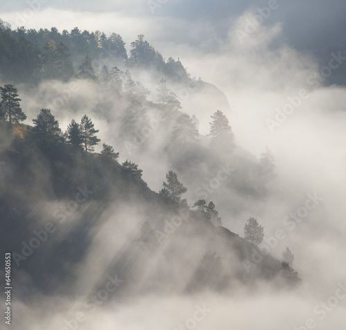 Morning in the mountains, fog and forest on the slope, rays of light