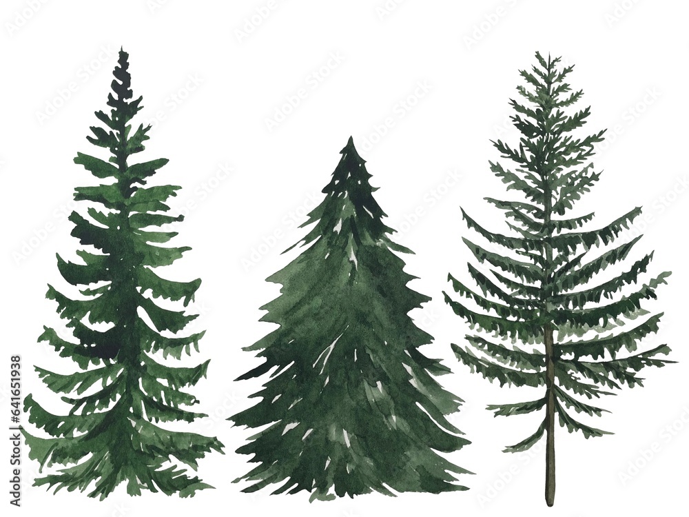 Watercolor set with trees, fir, pine, spruce. Forest elements for landscape