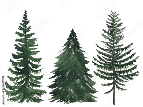 Watercolor set with trees  fir  pine  spruce. Forest elements for landscape