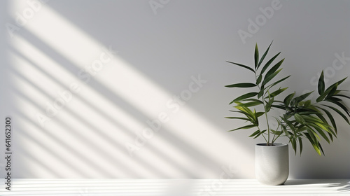 a pot with a palm tree on the background of a white wall lit by the sun, legal AI