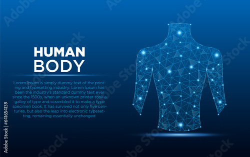 Low poly human body vector with futuristic concept. Medical anatomy blue color low poly wire-frame design. Medical and health illustration.