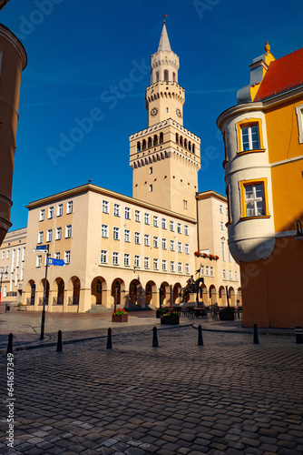 town hall and the monument to prince Kazimierz I on the market square in Opole. Poland