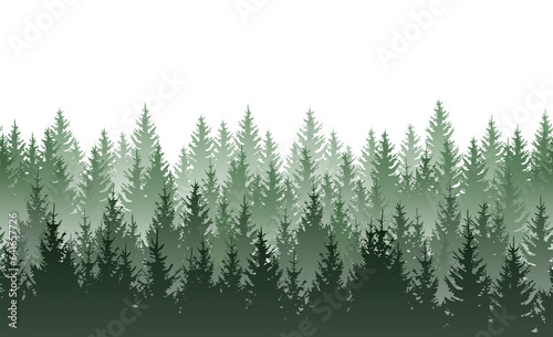 Seamless green misty coniferous forest pattern isolated on transparent background