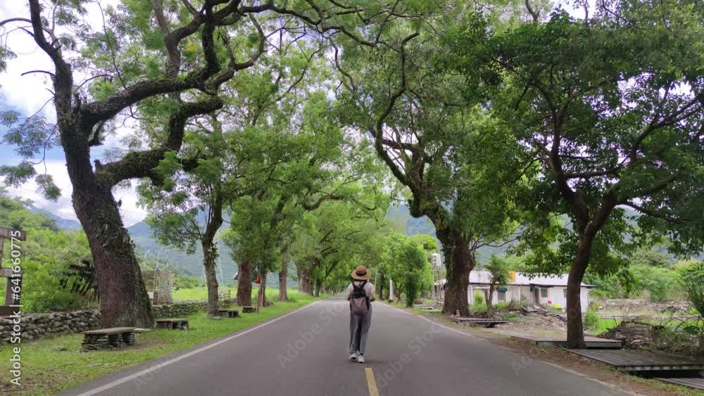 nice view of Wuling Green Tunnel, Taitung, Taiwan nice view of Wuling Green Tunnel, Taitung, Taiwan