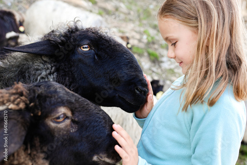 happy smiling child girl hugging sheep at farm, children love play animal, kid on nature, positive emotions, travel in Switzerland biopark, swiss black sheep simbol, toddler face photo