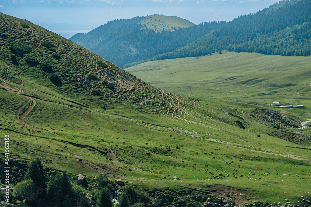 Obraz premium landscape in the mountains